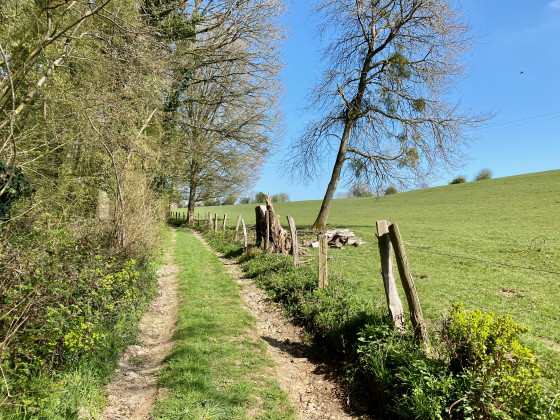Sortie du bois de la lande