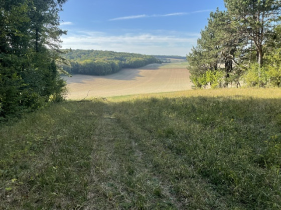 Sortie du bois