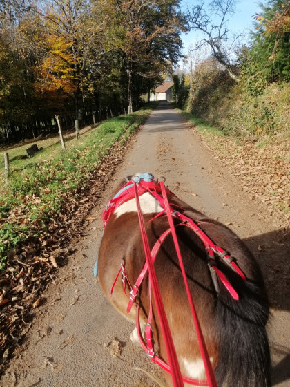 Sortie du vilage