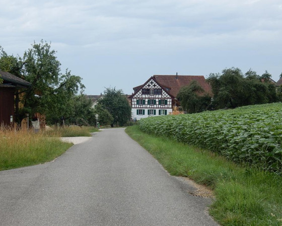 Sortie du village Uesslingen-Buch