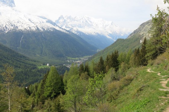 Sortis de la forêt,