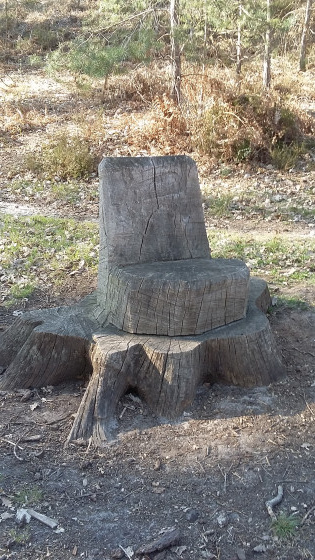 Souche sculptée