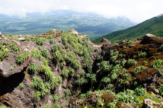 Soufrière