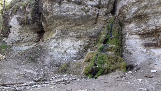 Source de Crosne