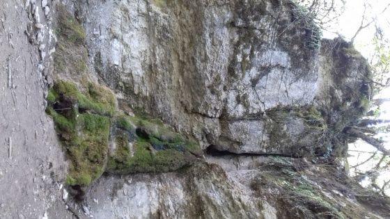 Source de Crosne