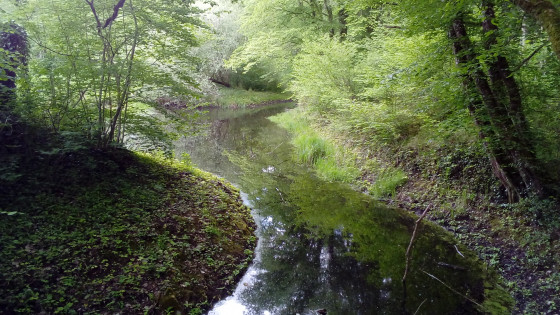 Source de Fondoire