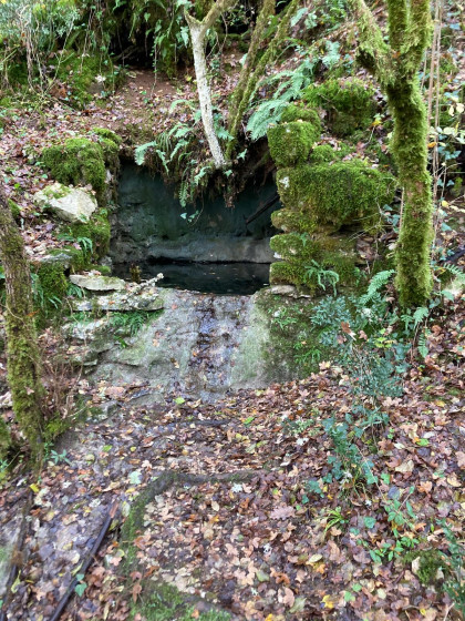 Source de Gautier