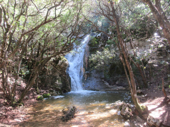 Source de l'Huveaune