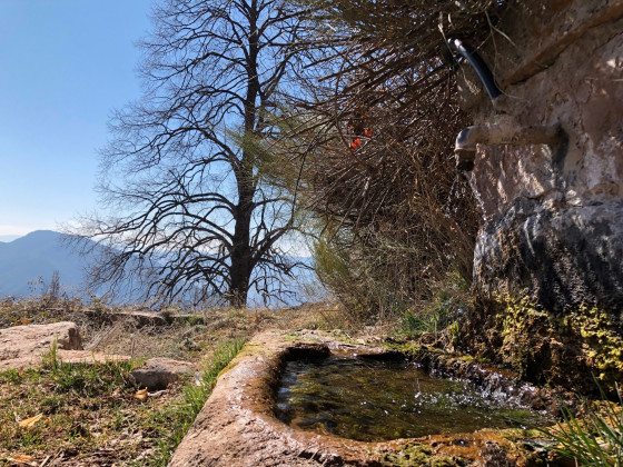 Source de la bergerie