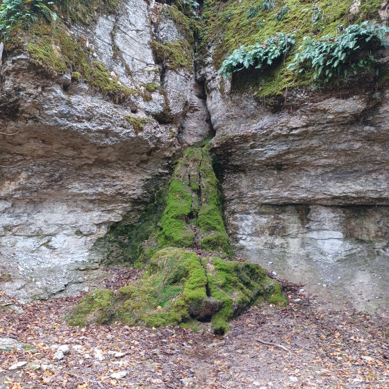 Source de la Crosne
