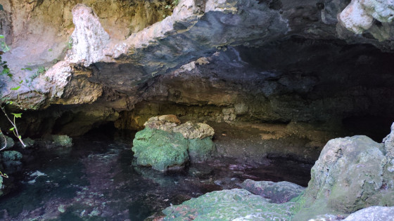 Source de la Foux
