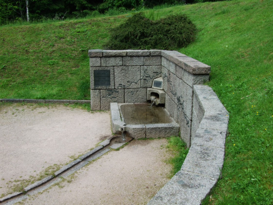 Source de la Moselle
