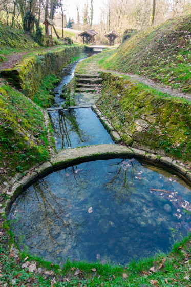 Source de la Reyssouze