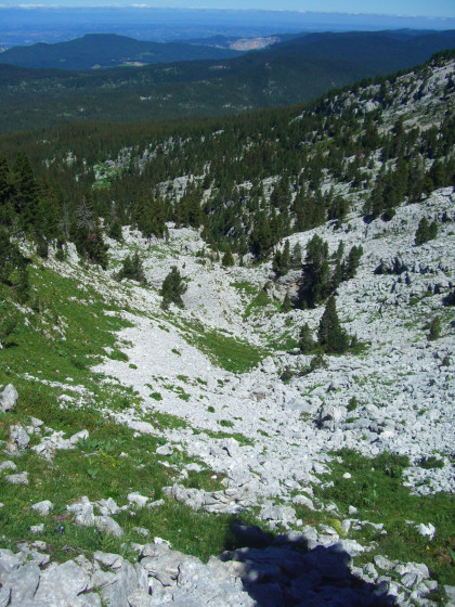 Source du Bénitier