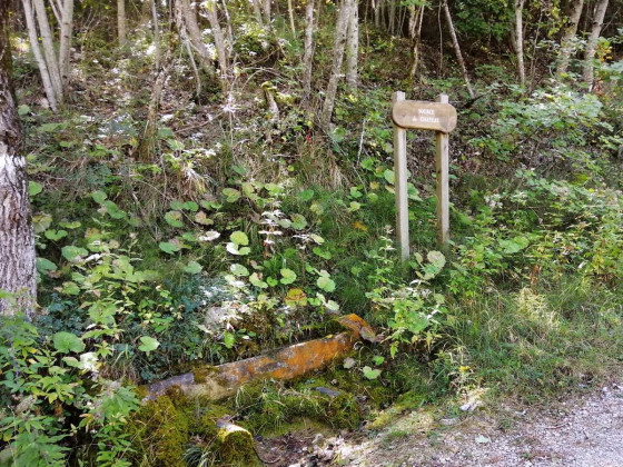 Source du Ch&acirc;teau