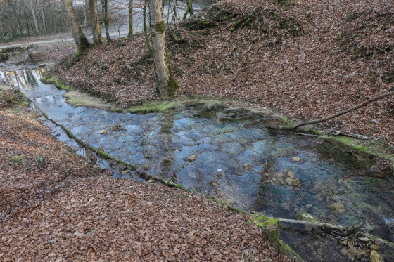 Source du Dard