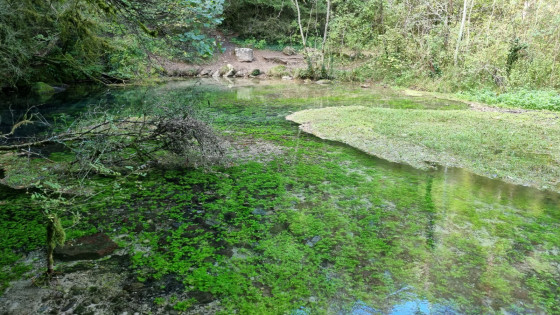 Source du Durzon