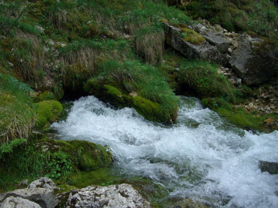 Source du Guiers Vif