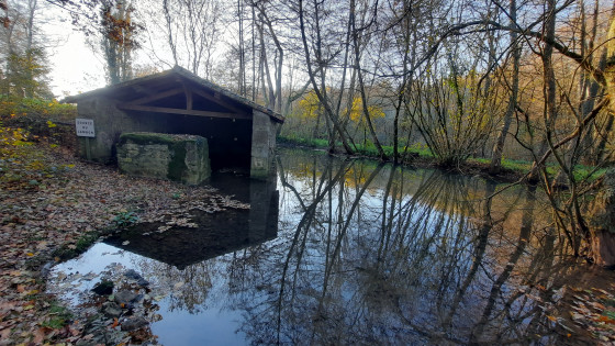 A faire Source du Lambon et sources de la Sèvre Niortaise depuis