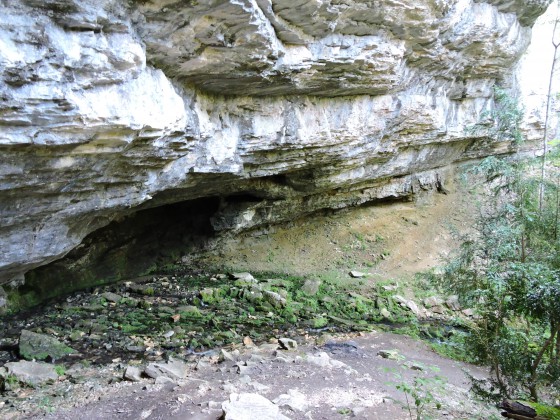 Source du Moulin Marquis