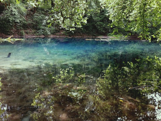 source du Planay