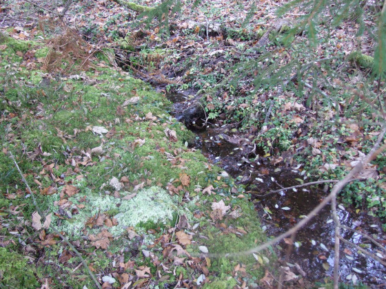 Source du Rahin