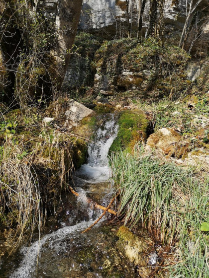 Source du Rouleau