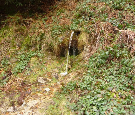 Source du Suc de Barry