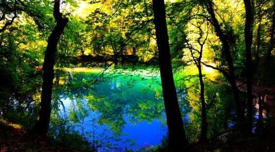 Source haute en couleurs l'&eacute;t&eacute;