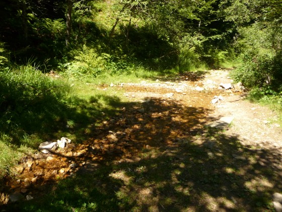 Source(s) du ruisseau le Sara.