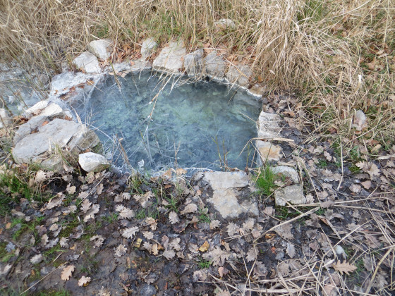 source sufureuse