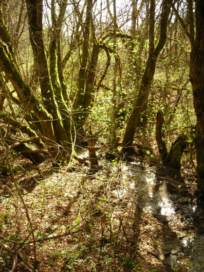Sources du Viaur