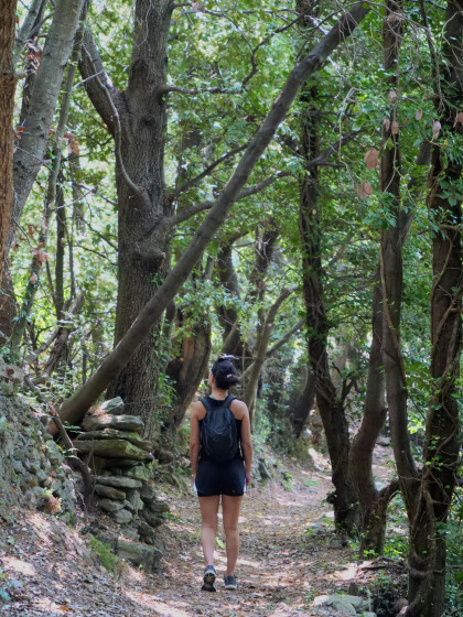 Sentier