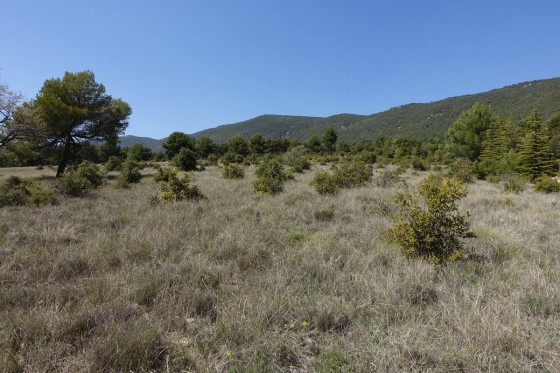 Sous la bastide Sous la bastide