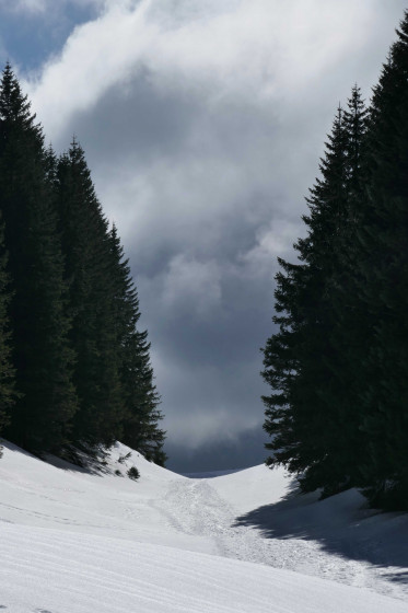 Sous le col d\'Aliénard Sous le col d\'Aliénard
