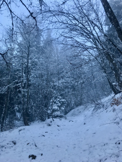 Sous le Col du Pré du Mollard :