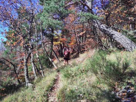 Sous le Duffre