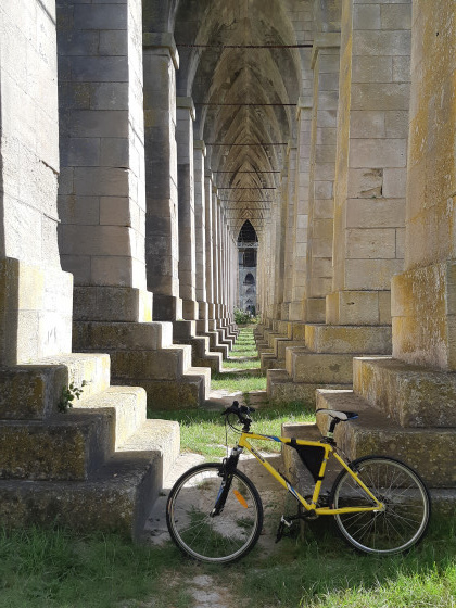 Sous le pont suspendu de Tonnay Charente