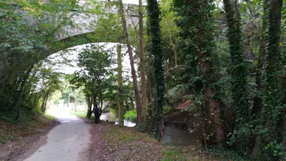 sous le pont