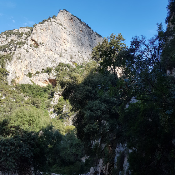 Sous les falaises
