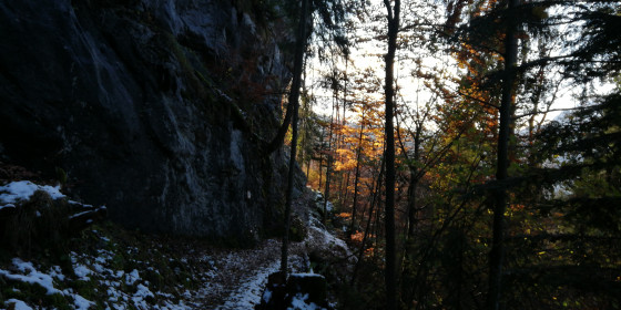 Sous les roches