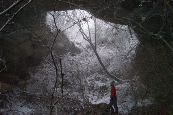 Sous une petite neige
