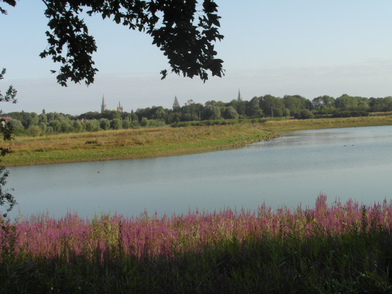 Spaarbekken