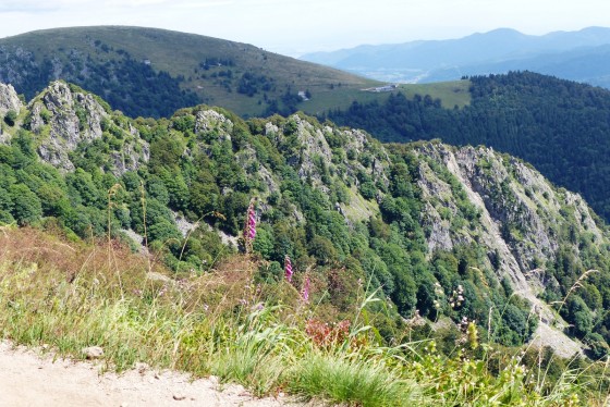 Spitzkoepfe & massif Hohneck