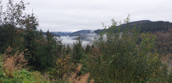 St. Blasien in Wolken
