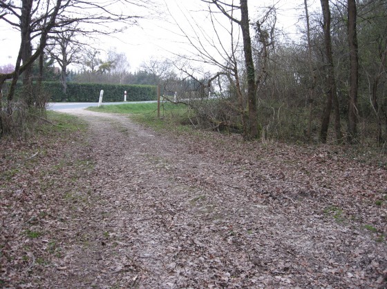St Doulchard. Bois de Gérissay