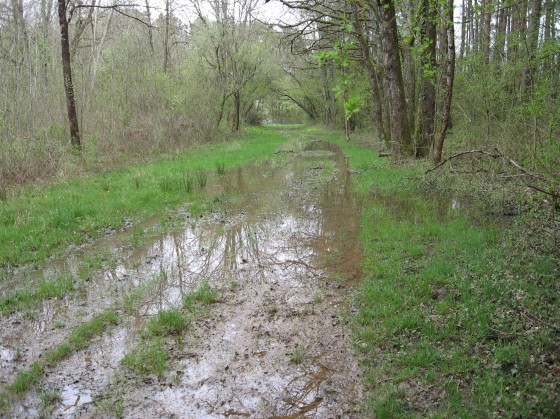 St Doulchard. Bois de Gérissay.