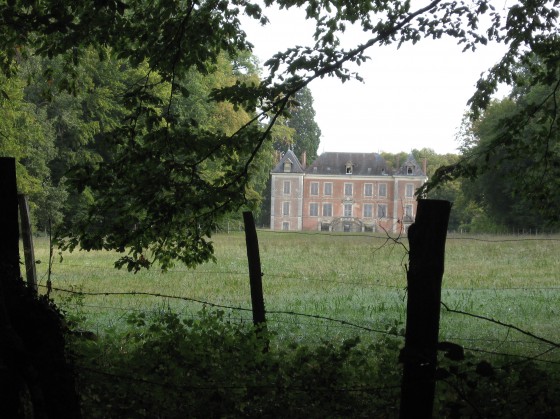 St Eloy-de-Gy. Bois Dé.