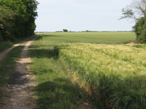 St Germain-du-Puy. Chaussée de César.