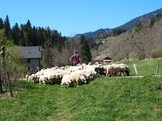 St Hugues de Chartreuse